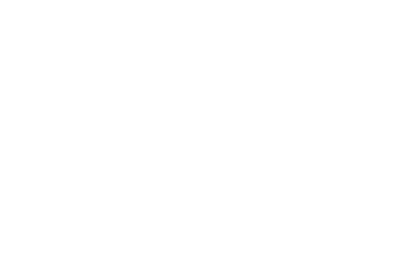 TIRE SHOP　IIDA